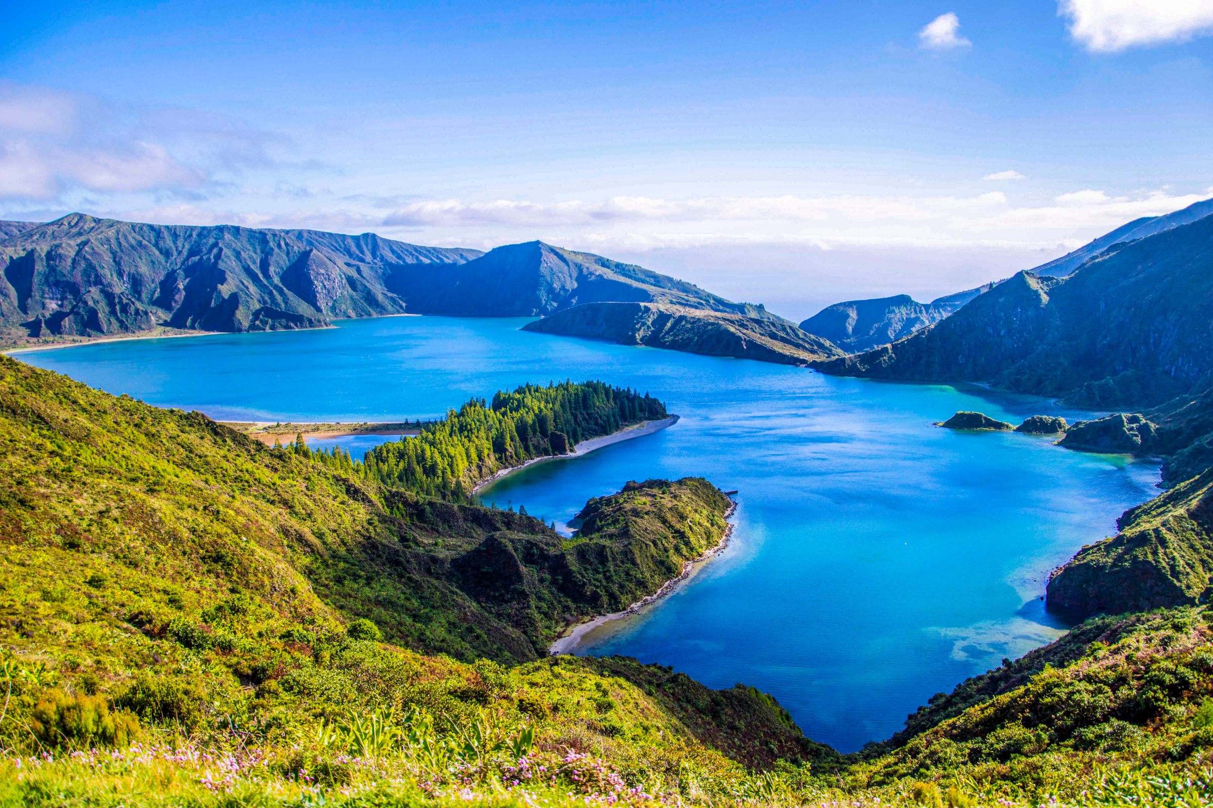 desertas islands (4).webp